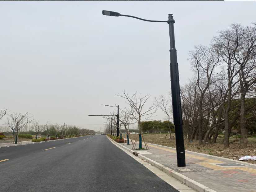 东阳市上海综合杆 太阳能路灯工程